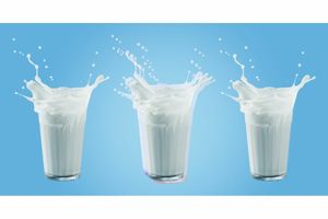 Как выбрать молоко для йогурта? фото