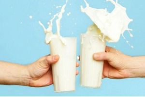 Міфи про корисність і шкідливість молока фото